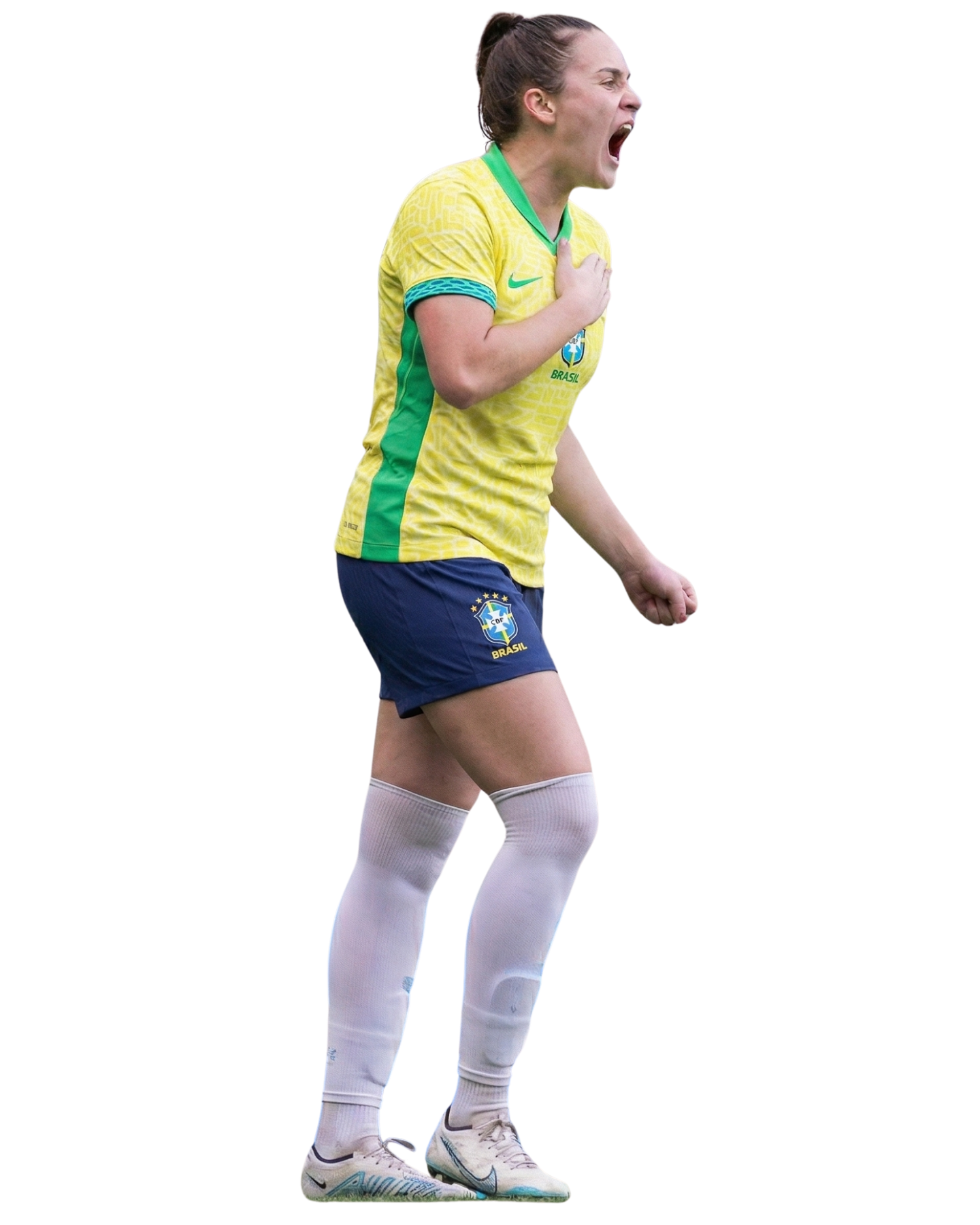 Descrição Imagem